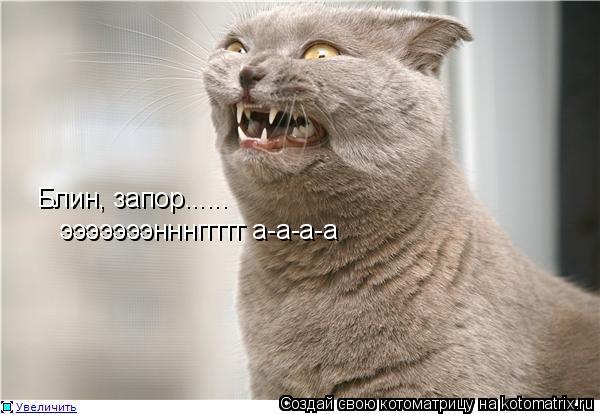Котоматрица: Блин, запор...... эээээээнннггггг а-а-а-а