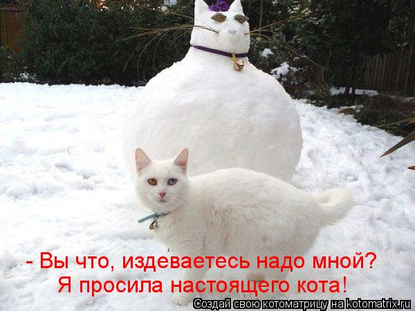 Котоматрица: - Вы что, издеваетесь надо мной?  Я просила настоящего кота!