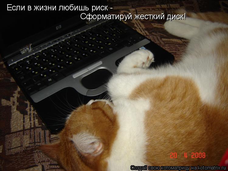Котоматрица: Если в жизни любишь риск - Сформатируй жесткий диск!