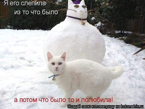 Котоматрица: Я его слепила из то что было а потом что было то и полюбила!