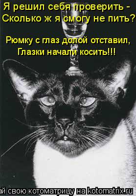 Котоматрица: Я решил себя проверить - Сколько ж я смогу не пить? Рюмку с глаз долой отставил, Глазки начали косить!!!