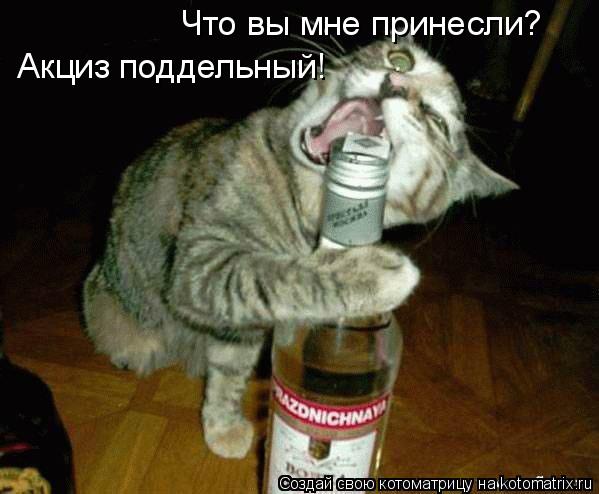 Котоматрица: Что вы мне принесли? Акциз поддельный!