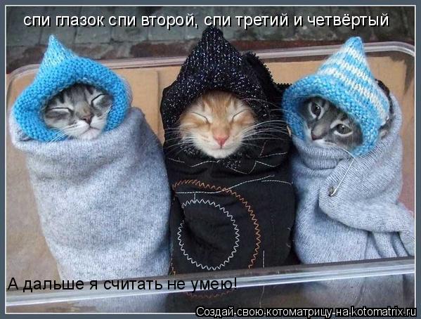 Котоматрица: спи глазок спи второй, спи третий и четвёртый А дальше я считать не умею!