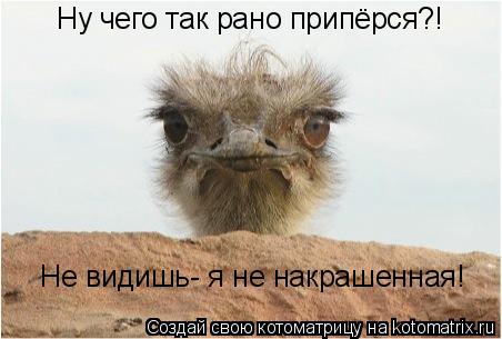 Котоматрица: Ну чего так рано припёрся?! Не видишь- я не накрашенная!