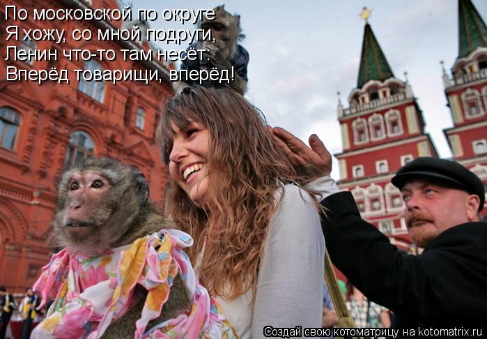 Котоматрица: По московской по округе Я хожу, со мной подруги, Ленин что-то там несёт: Вперёд товарищи, вперёд!