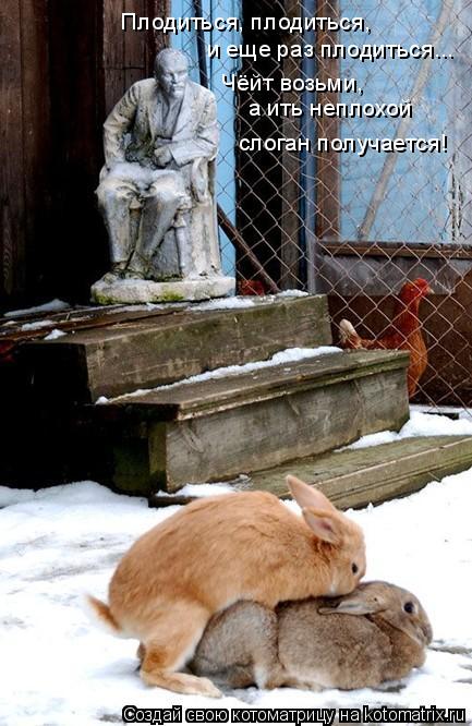 Котоматрица: Плодиться, плодиться, и еще раз плодиться... Чёйт возьми,  а ить неплохой  слоган получается!