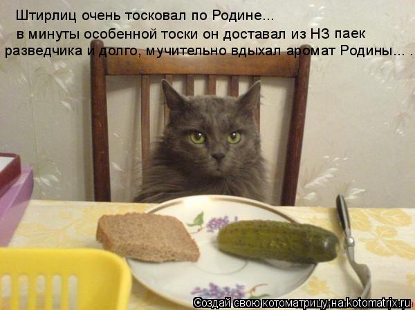Котоматрица: в минуты особенной тоски он доставал из НЗ Штирлиц очень тосковал по Родине... разведчика и долго, мучительно вдыхал аромат Родины... . паек
