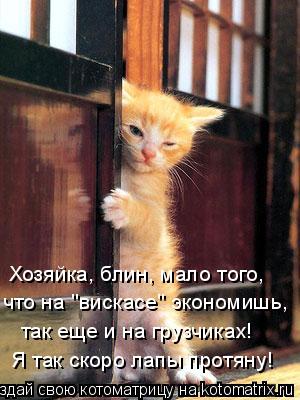 Котоматрица: Хозяйка, блин, мало того, что на "вискасе" экономишь, так еще и на грузчиках! Я так скоро лапы протяну!
