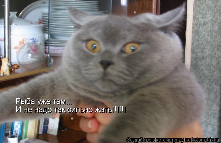 Котоматрица: Рыба уже там... И не надо так сильно жать!!!!!!