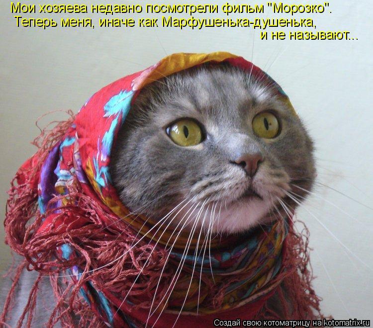 Котоматрица: Мои хозяева недавно посмотрели фильм "Морозко". Теперь меня, иначе как Марфушенька-душенька, и не называют...
