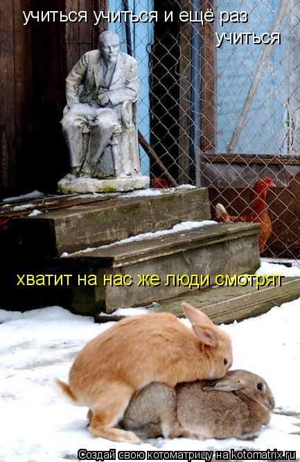 Котоматрица: хватит на нас же люди смотрят учиться учиться и ещё раз  учиться