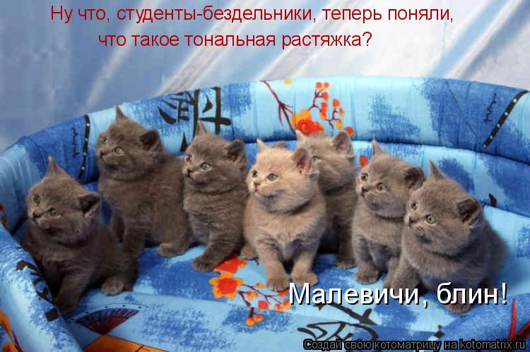 Котоматрица: Ну что, студенты-бездельники, теперь поняли,  что такое тональная растяжка? Малевичи, блин!