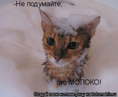 Котоматрица: -Не подумайте,  это МОЛОКО!