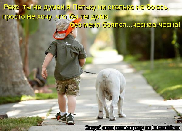 Котоматрица: просто не хочу ,что бы ты дома  без меня боялся...чеснаа-чесна! Рекс ,ты не думай,я Петьку ни сколько не боюсь,