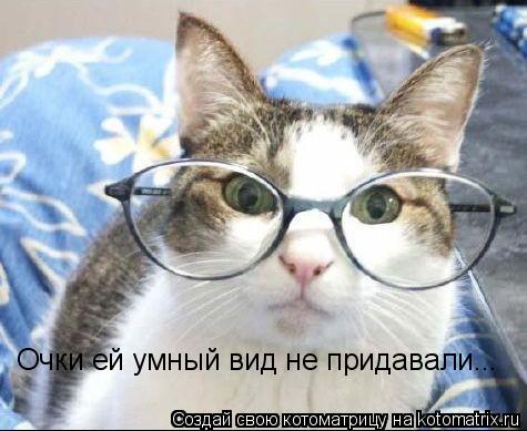 Котоматрица: Очки ей умный вид не придавали...