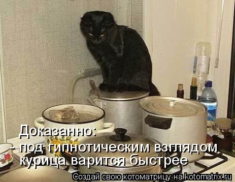 Котоматрица: курица варится быстрее - под гипнотическим взглядом Доказанно: