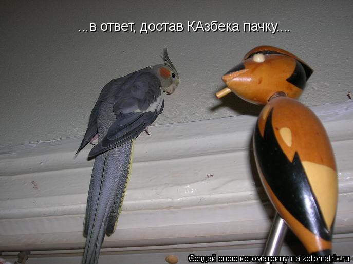 Котоматрица: ...в ответ, достав КАзбека пачку....