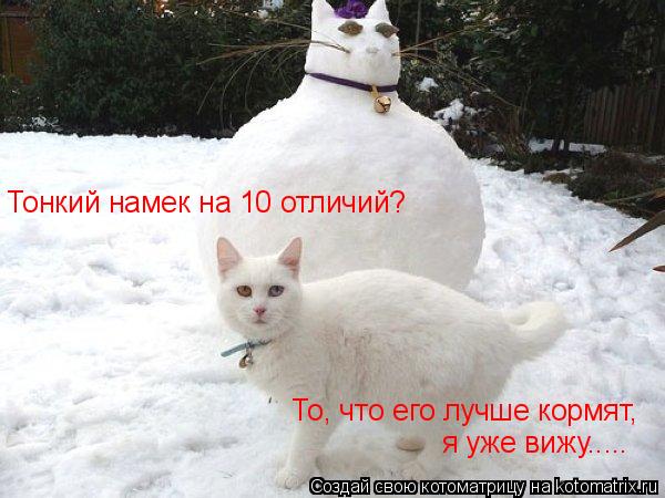 Котоматрица: Тонкий намек на 10 отличий? То что его лучше кормят я уже вижу..... Тонкий намек на 10 отличий?  То, что его лучше кормят,  я уже вижу.....