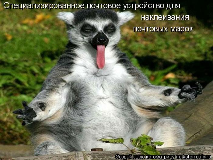 Котоматрица: Специализированное почтовое устройство для наклеивания почтовых марок