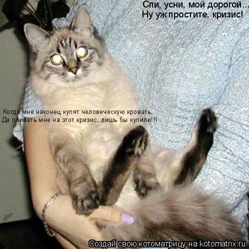 Котоматрица: Спи, усни, мой дорогой... Когда мне наконец купят человеческую кровать... Ну уж простите, кризис! Да пливать мне на этот кризис, лишь бы купили!!
