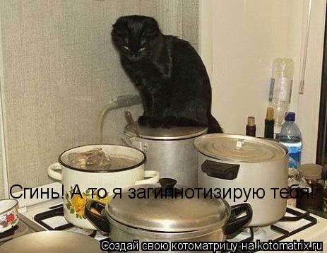 Котоматрица: Сгинь! А то я загипнотизирую тебя!