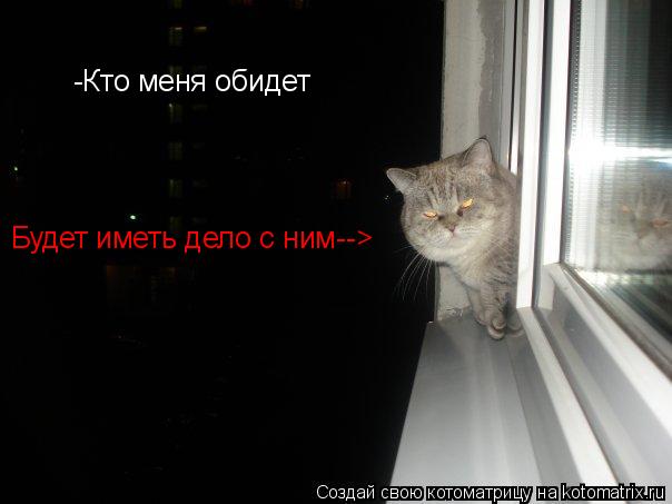 Котоматрица: -Кто меня обидет Будет иметь дело с ним-->