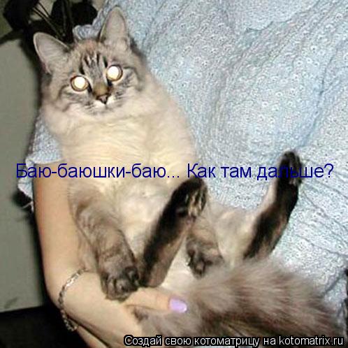 Котоматрица: Баю-баюшки-баю... Как там дальше?
