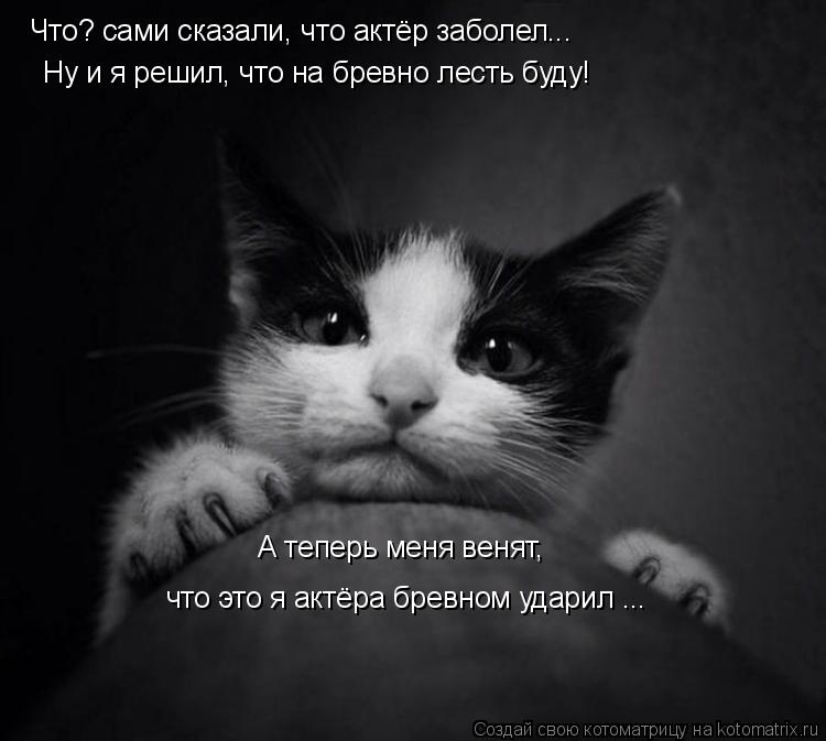 Котоматрица: Что? сами сказали, что актёр заболел... Ну и я решил, что на бревно лесть буду! А теперь меня венят, что это я актёра бревном ударил ...