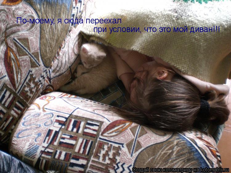 Котоматрица: По-моему, я сюда переехал при условии, что это мой диван!!!