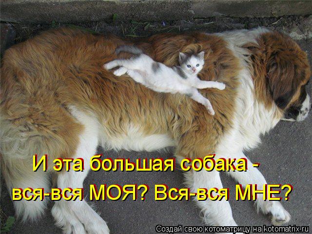 И эта большая собака - вся-вся МОЯ? Вся-вся МНЕ? вся-вся МОЯ? Вся-вся МНЕ? И эта большая собака -... Котоматрица: И эта большая собака - вся-вся МОЯ? Вся-вся МНЕ? вся-вся МОЯ? Вся-вся МНЕ? И эта большая собака -