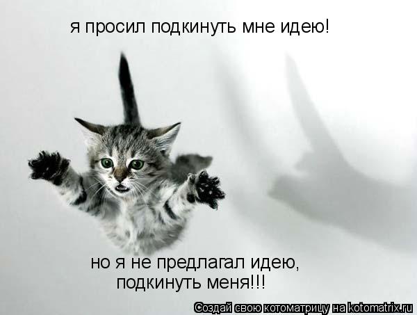 я просил подкинуть мне идею! но я не предлагал идею, подкинуть меня!!!... Котоматрица: я просил подкинуть мне идею! но я не предлагал идею, подкинуть меня!!!