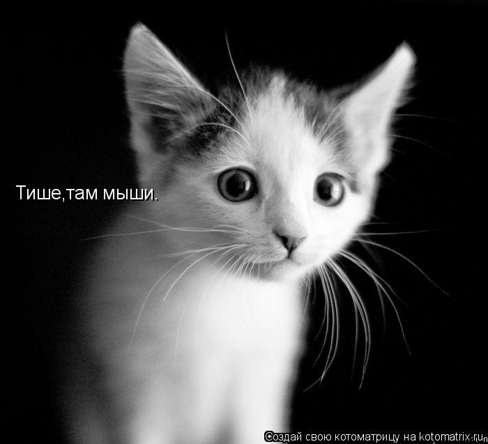 Котоматрица: Тише,там мыши.
