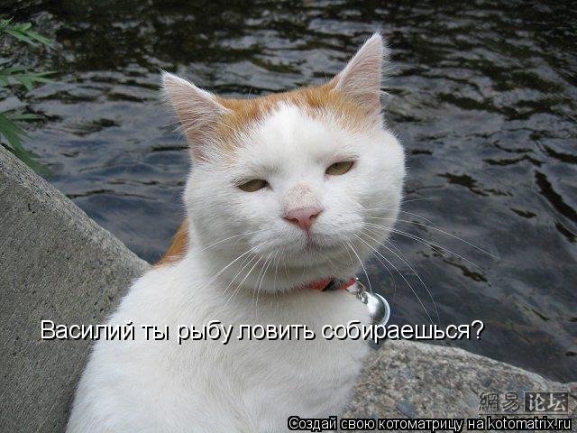 Котоматрица: Василий ты рыбу ловить собираешься?