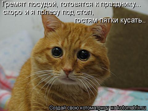 Гремят посудой, готовятся к празднику... скоро и я полезу под стол, гостям пятки кусать..... Котоматрица: Гремят посудой, готовятся к празднику... скоро и я полезу под стол, гостям пятки кусать..