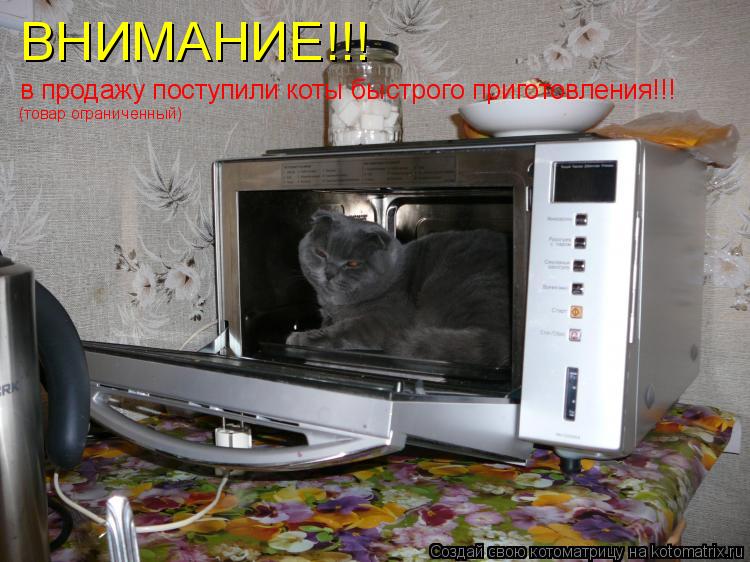 Котоматрица: ВНИМАНИЕ!!! в продажу поступили коты быстрого приготовления!!! (товар ограниченный)