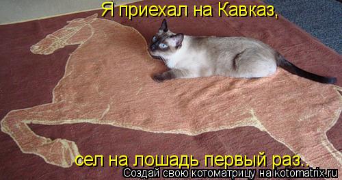 Я приехал на Кавказ, сел на лошадь первый раз..... Котоматрица: Я приехал на Кавказ, сел на лошадь первый раз..