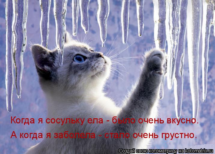 Когда я сосульку ела - было очень вкусно. А когда я заболела - стало очень грустно.... Котоматрица: Когда я сосульку ела - было очень вкусно. А когда я заболела - стало очень грустно.