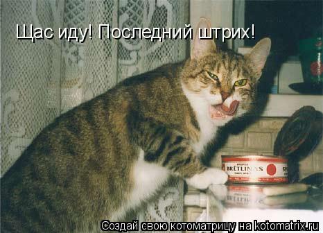 Щас иду! Последний штрих!... Котоматрица: Щас иду! Последний штрих!