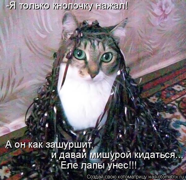 Котоматрица: -Я только кнопочку нажал! А он как зашуршит,  и давай мишурой кидаться... Еле лапы унес!!!