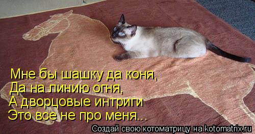 Мне бы шашку да коня, Да на линию огня, А дворцовые интриги Это все не про меня...... Котоматрица: Мне бы шашку да коня, Да на линию огня, А дворцовые интриги Это все не про меня...
