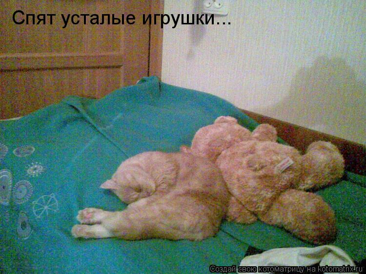 Котоматрица: Спят усталые игрушки...