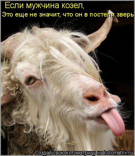Если мужчина козел, Это еще не значит, что он в постели зверь...... Котоматрица: Если мужчина козел, Это еще не значит, что он в постели зверь...