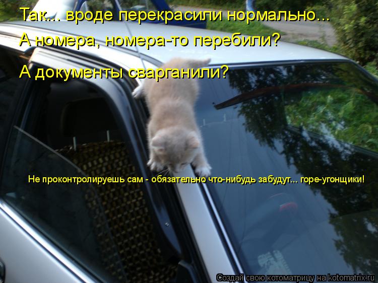 Котоматрица: Так... вроде перекрасили нормально... А номера, номера-то перебили? А документы сварганили? Не проконтролируешь сам - обязательно что-нибудь з