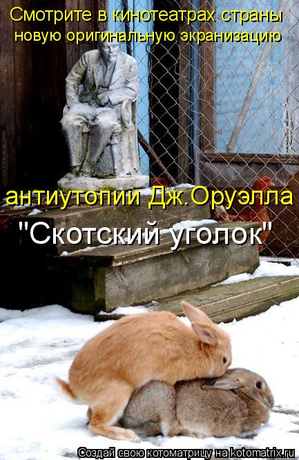 Котоматрица: Смотрите в кинотеатрах страны новую оригинальную экранизацию  антиутопии Дж.Оруэлла "Скотский уголок"