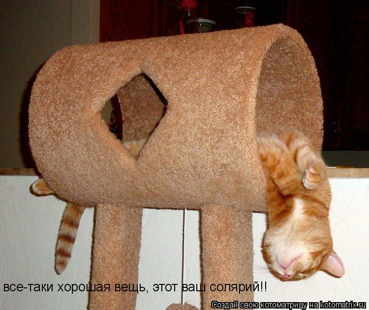 все-таки хорошая вещь, этот ваш солярий!!... Котоматрица: все-таки хорошая вещь, этот ваш солярий!!