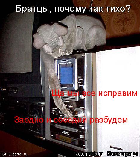Котоматрица: Братцы, почему так тихо? Ща мы все исправим Заодно и соседий разбудем