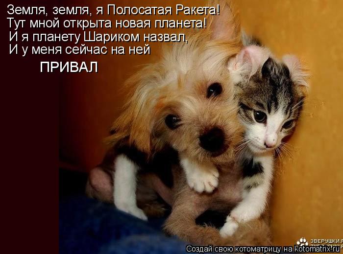 Земля, земля, я Полосатая Ракета! Тут мной открыта новая планета! И я планету Шариком назвал, И у мен... Котоматрица: Земля, земля, я Полосатая Ракета! Тут мной открыта новая планета! И я планету Шариком назвал, И у меня сейчас на ней ПРИВАЛ