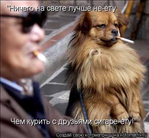 "Ничего на свете лучше не-ету Чем курить с друзьями сигаре-ету!"... Котоматрица: "Ничего на свете лучше не-ету Чем курить с друзьями сигаре-ету!"