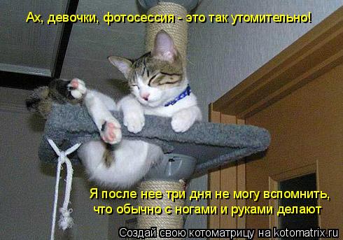 «Ах, девочки, фотосессия - это так утомительно! Я после нее три дня не могу вспомнить, что обычно с ... Котоматрица: «Ах, девочки, фотосессия - это так утомительно! Я после нее три дня не могу вспомнить, что обычно с ногами и руками делают