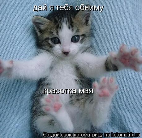 дай я тебя обниму красотка мая... Котоматрица: дай я тебя обниму красотка мая